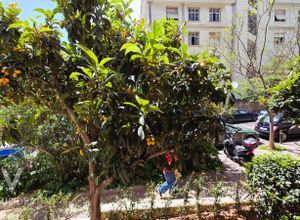 Διαμέρισμα για ενοικίαση - Κολωνάκι - Λυκαβηττός, - Photo 5
