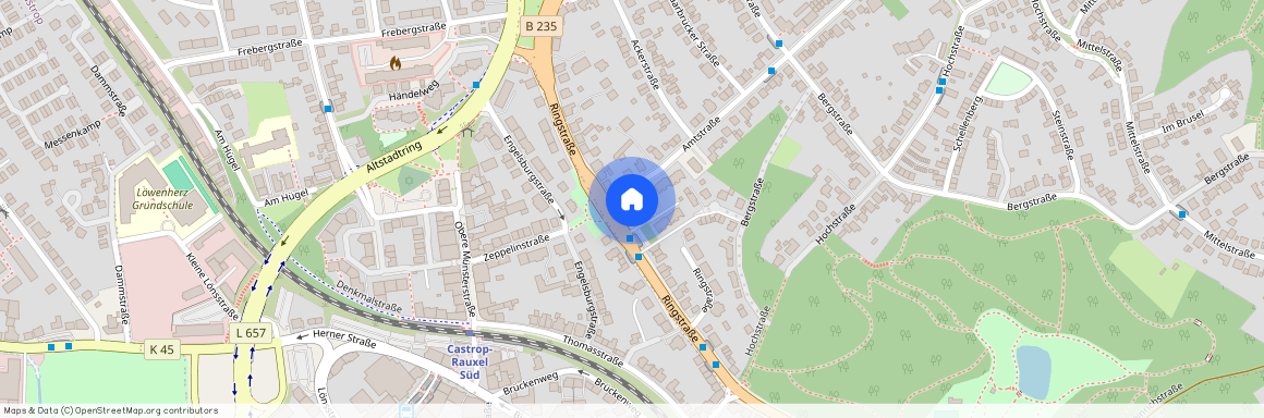 Ringstr. 29, 44575 Nordrhein-Westfalen - Castrop-Rauxel