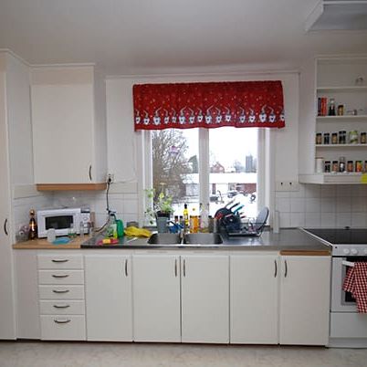 Magnifik femma en trappa upp - Photo 1
