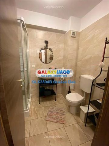 Garsoniera Cat Friendly Metalurgiei - Fotografie 4