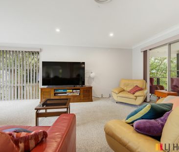 LILLI PILLI NSW - Photo 4