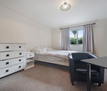 Tucked away in Remuera - Photo 4