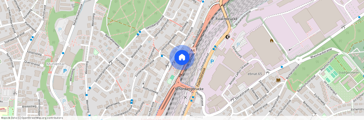 8200, Schaffhausen, Krebsbachstrasse, 79