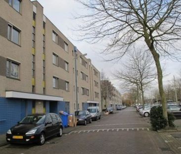 Afrikalaan 0ong, 2622 Delft, Nederland - Foto 2