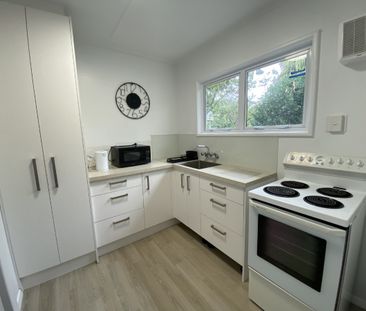 Fully furnished - Close to town on Alexandra Street - Photo 5