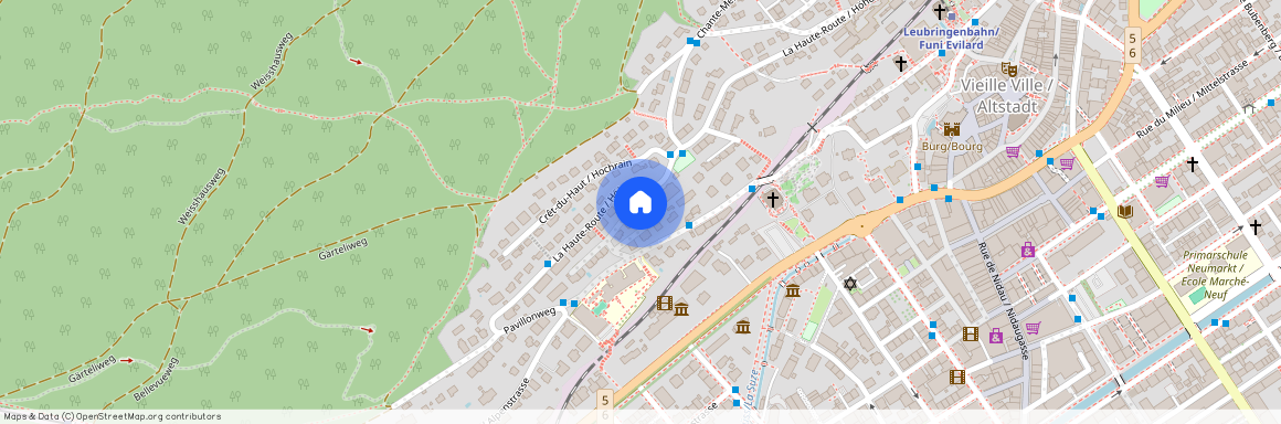 2500, Biel/Bienne, Rue Des Alpes / Alpenstrasse, 61
