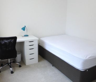 North Park Avenue - Photo 5