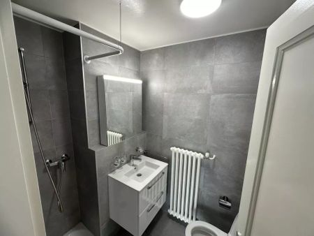 Charmant appartement de 2 pièces au 4ème étage - Foto 4