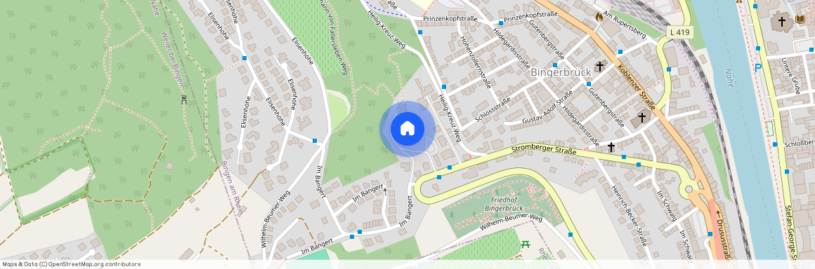 Stromberger Str. 36, 55411 Rheinland-Pfalz - Bingen