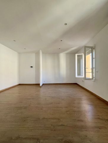 Location Appartement 1 pièce 35m² ALENYA 66200 - Photo 3