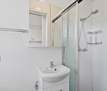 35/405 Bourke Street, Surry Hills NSW 2010 - Apartment For Rent | D... - Photo 3