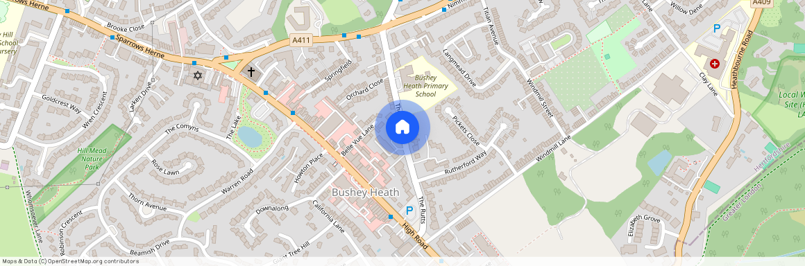 THE RUTTS, BUSHEY HEATH