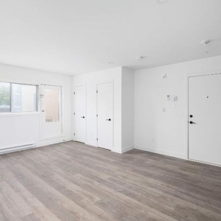 1 CH - 1 SDB - Montréal - $1,245 /mo - Photo 4