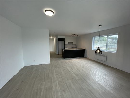 820-203 très beau 4 1/2 (Mars) rue Lamarche, Sherbrooke J1H 0M9 - Photo 1