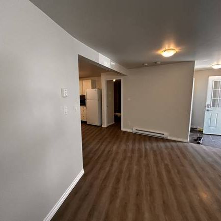 Two Bedroom Legal Suite walkout - Photo 1