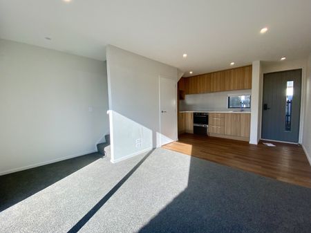 31/101 Mackworth Street, Woolston - Photo 2