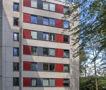 4-Zimmer-Wohnung in Siegen Weidenau - Photo 1