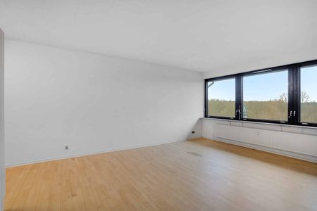 Hyggelig 2-værelses lejlighed - Foto 2