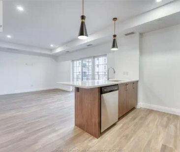 3817 HOWARD AVENUE Unit# 301 | 3817 HOWARD AVENUE Unit# 301, Windsor - Photo 1