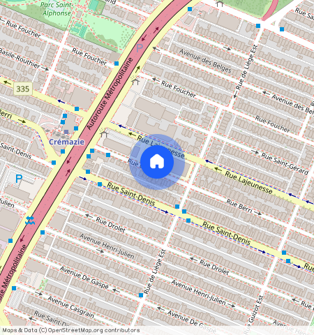 8548 Rue Saint-Denis, Villeray-Saint-Michel-Parc-Extension, Villeray-Saint-Michel-Parc-Extension, Ile de Montréal, H2P 2G5