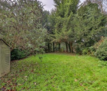 3 bedroom cottage to rent - Photo 5