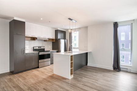 9675 Av. Papineau, app.321, H2B 3C8, H2B 3C8, Montréal - Photo 4