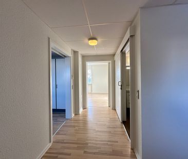 Moderne 2-værelses lejlighed i Nørresundby med grønne omgivelser - Foto 1