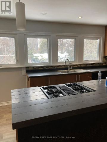 319 BURK STREET - Photo 5