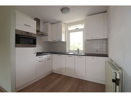 Lodewijk Napoleonplein - Foto 3