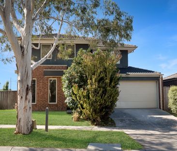 1 Stanhope Place, Pakenham VIC 3810 - House For Rent | Domain - Photo 4