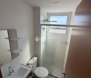 Apartamento com 1 quarto e 45m² para alugar em Jansen, Gravataí. - Foto 4