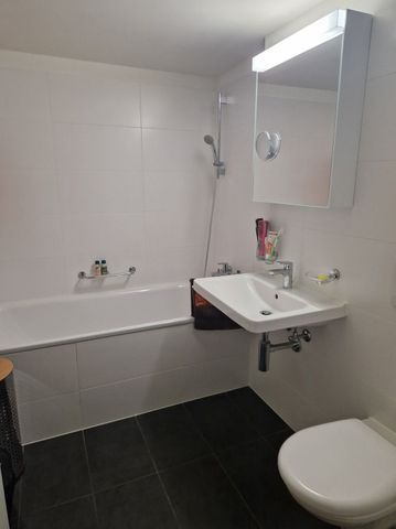 3-ROOM APARTMENT IN LOCARNO (TI), FURNISHED, TEMPORARY - Photo 5