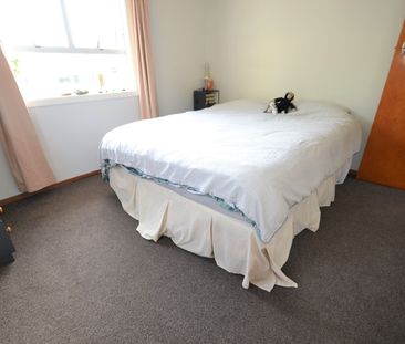 6 Sowman Street, The Brook, Nelson - Photo 5