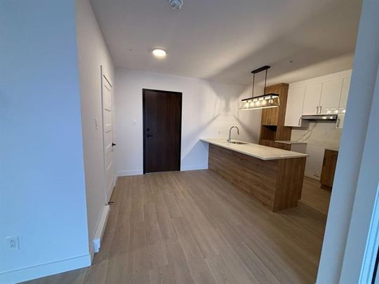 430 Boul. du Bord de l'Eau - Photo 1