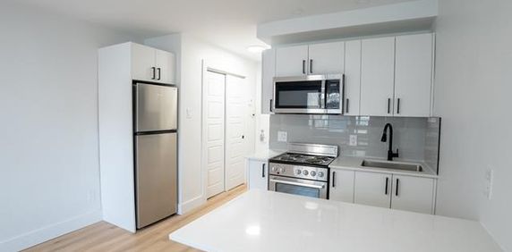 3915 Rue Masson - Photo 2