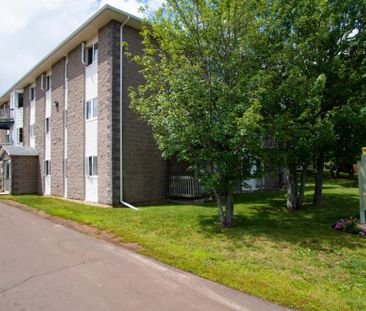 Pine Glen Apartments - Photo 6
