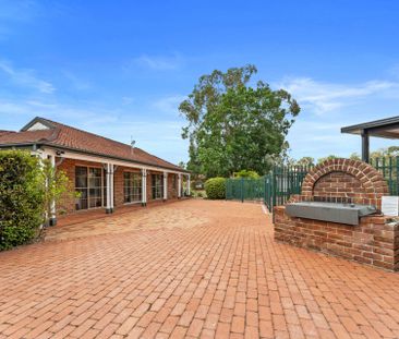 Modern Single-Level Family Home - Photo 4