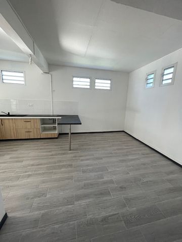 Location Appartement 2 pièces 53m² LE MOULE 97160 - Photo 4