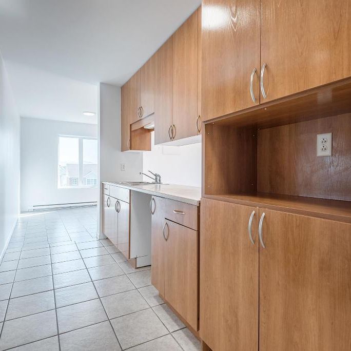 4 1/2 SAINT-BASILE-LE-GRAND adjacent SAINT-BRUNO-DE-MONTARVILLE - Photo 1