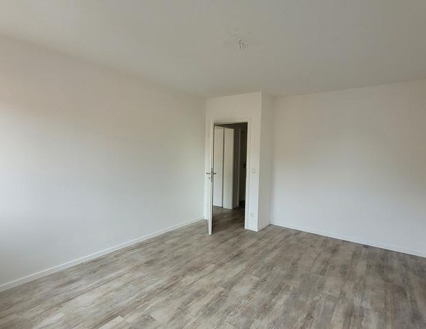 Schloßchemnitz * Moderne 2 Zimmer mit Aufzug * Frei - Foto 1