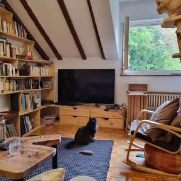 Magnifique, petit appartement, Genève - Foto 1