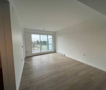 Newly Built 2 Bed, 1 Bathroom, Pet Friendly, Rooftop Lounge & More - Photo 3