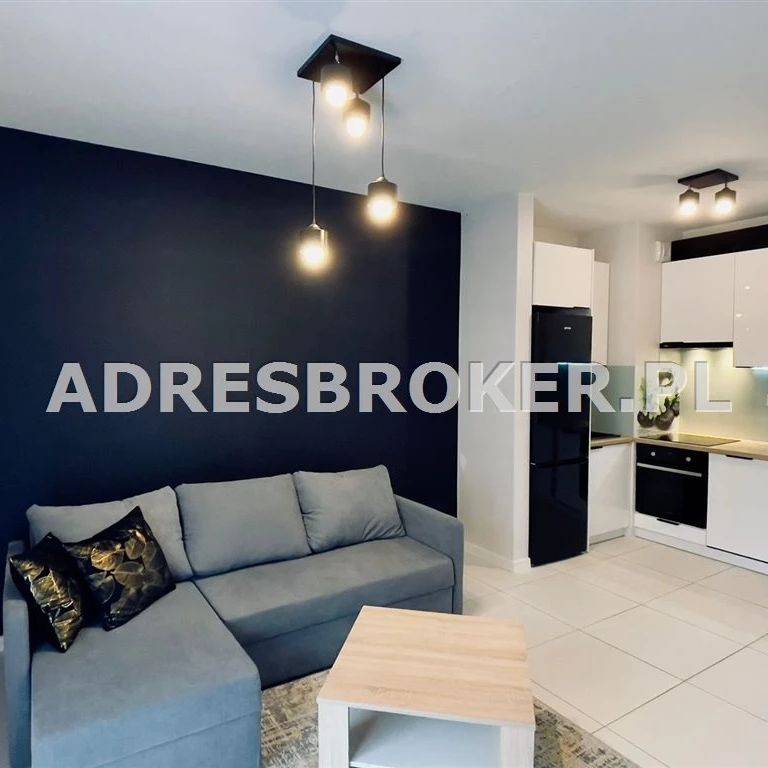 Mieszkanie, wynajem Gliwice, Plac Grunwaldzki - Zdjęcie 1