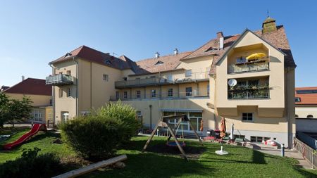 EGGENBURG XI - Photo 2