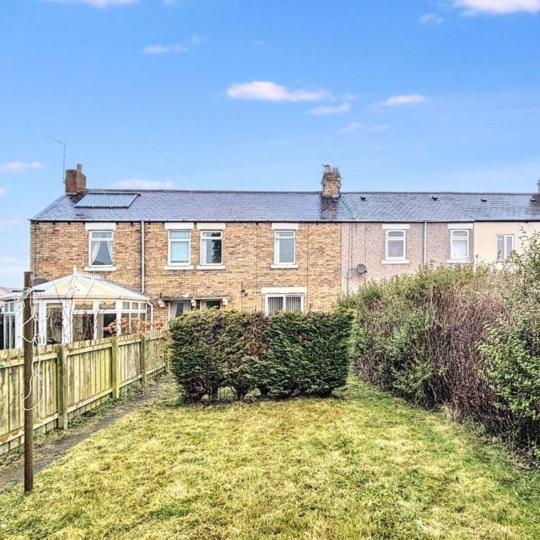 2 bed terraced house to rent in NE61 - Photo 1