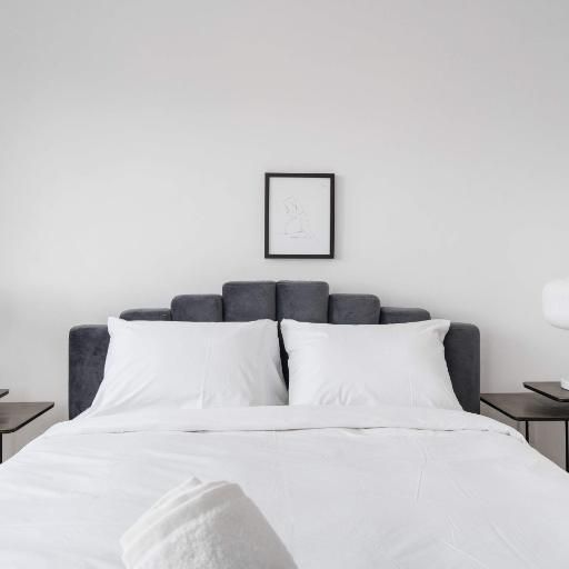 1 CH - 1 SDB - Montréal - $1,495 /mo - Photo 1