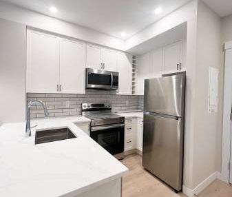 $1,575 / 1br - 549ft2 - New, Cat-Friendly 1 Bedroom Apartment - Photo 3