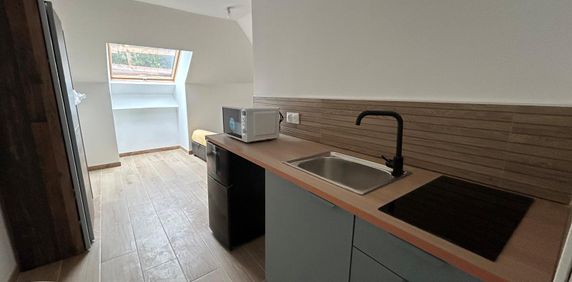 Location Appartement 1 pièce 14m² FAMARS 59300 - Photo 2