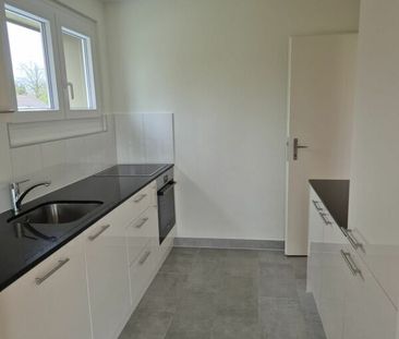 Recently renovated 5.5-room apartment on the ground floor - Photo 3