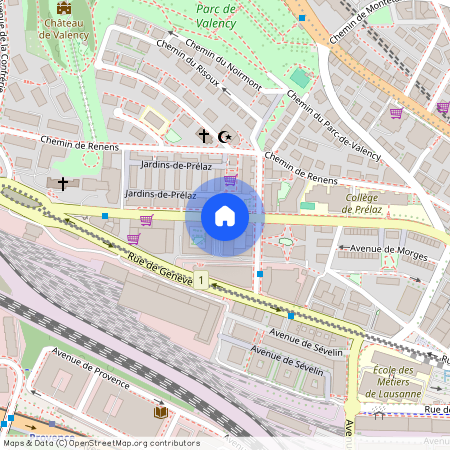 Avenue de Morges 145C, Lausanne Malley